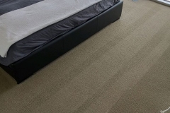 Best-Carpet-Cleaning-Birmingham-AL