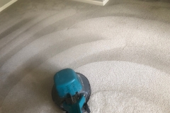 carpet-clean