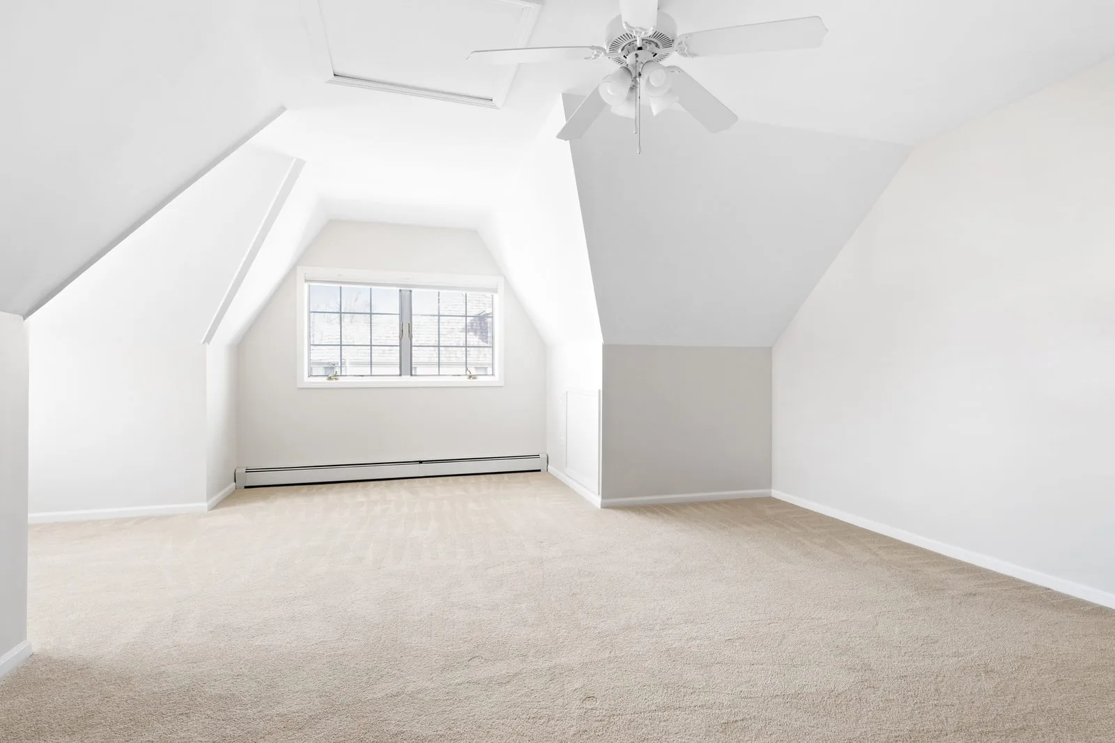 Carpet cleaning in Mountain Brook, AL