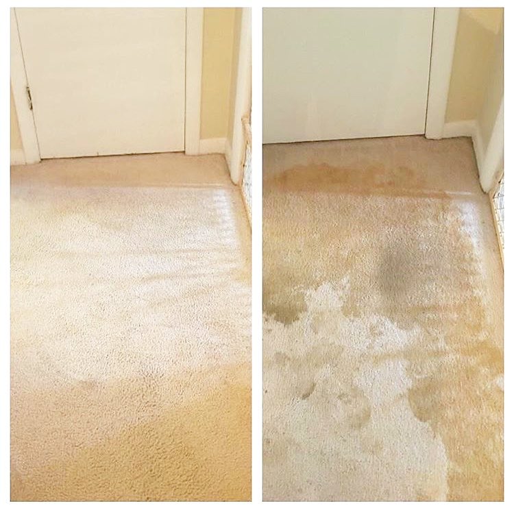 Carpet Cleaning Birmingham, AL 3 Rooms For 109 SafeDry