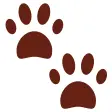 Pet Care
