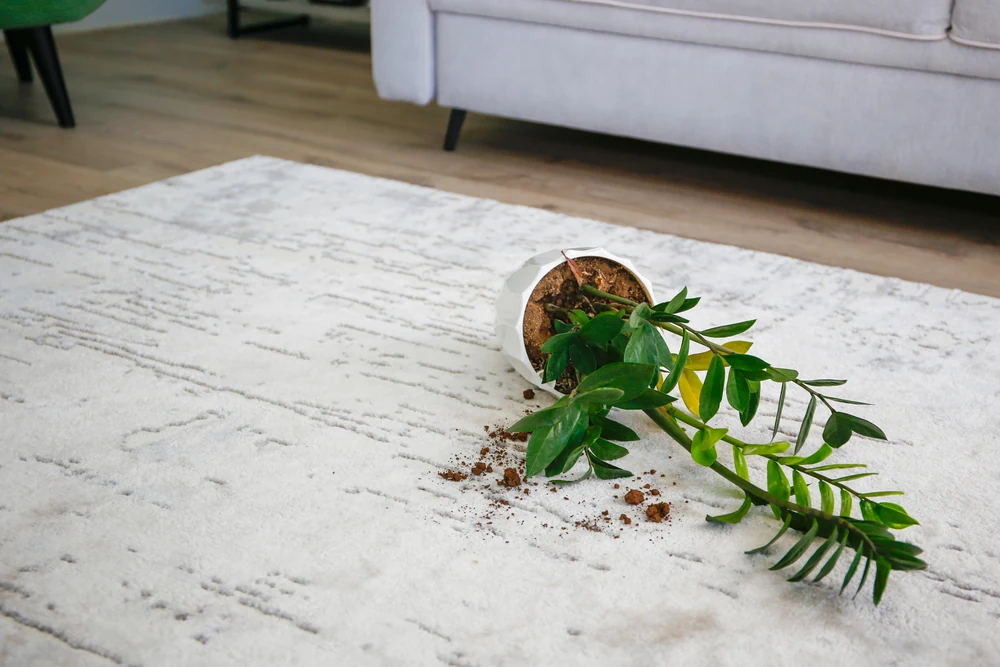 Red Clay Stains: A Birmingham-Specific Guide